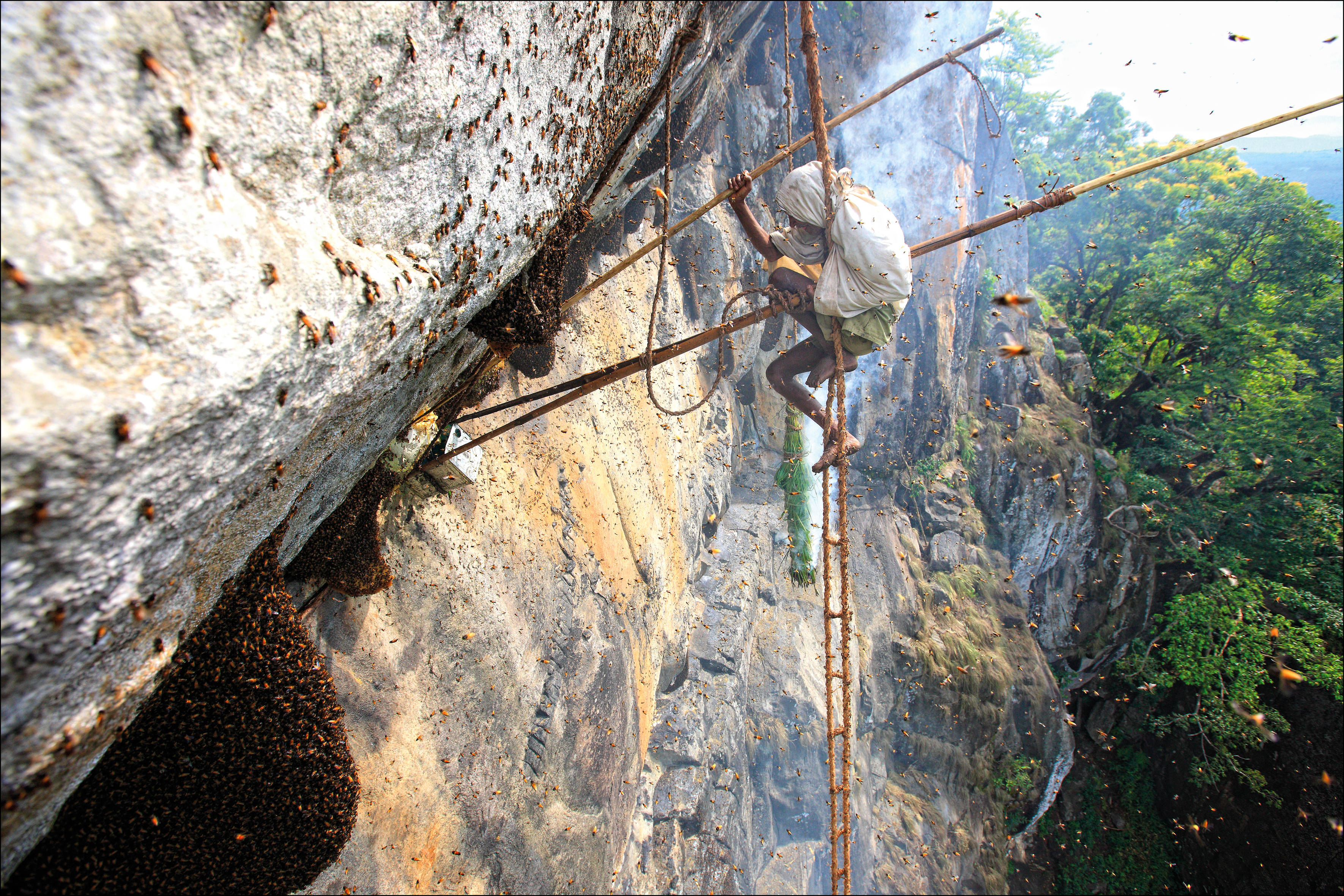 Investing in Nature: Exploring the Benefits and Potential of Payments for Ecosystem Services (PES)